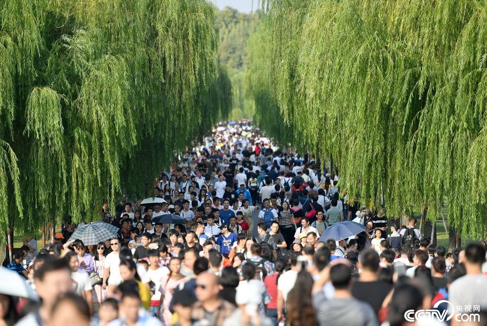 2026 五一出游达 3.25 亿人次，文旅回暖不少商家却接不住客流