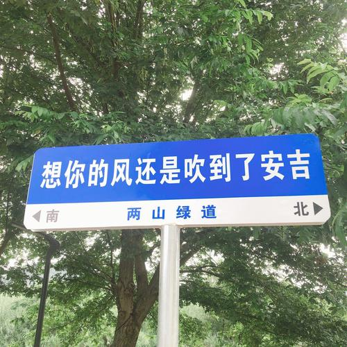 想你的风吹到了景区，游客的心却吹不进来？